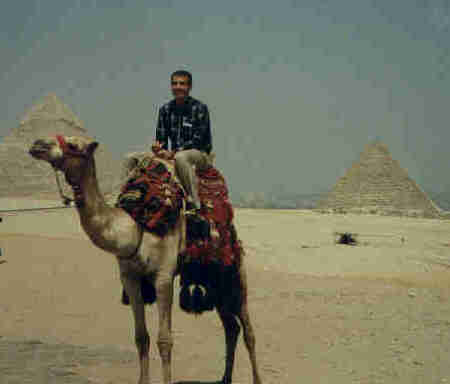 Driving a Camel